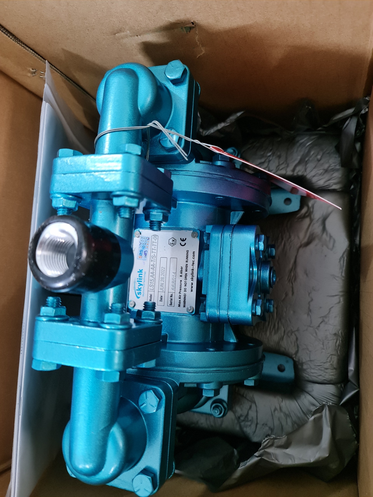 Bơm màng khí nén LS15-AATSTTTT-00 SKYLINK LS15