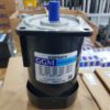 Động cơ cảm ứng GGM K9IP90FM (GGM Induction Motor)