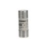 Cầu Chì Ống Công Nghiệp ABB E9F22 GG60 (Mã: 2CSM205013R1801)