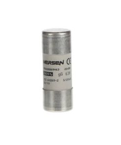 Cầu Chì Ống Công Nghiệp ABB E9F22 GG60