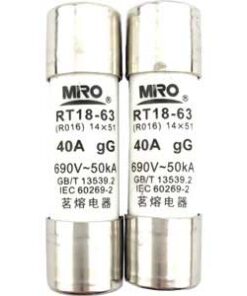 Cầu Chì Ống 40A (Cylindrical Fuse 40A)