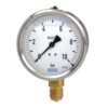 Đồng Hồ Đo Áp Suất Wise P250